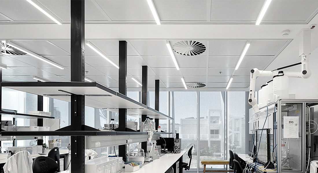 Wega batten  -4